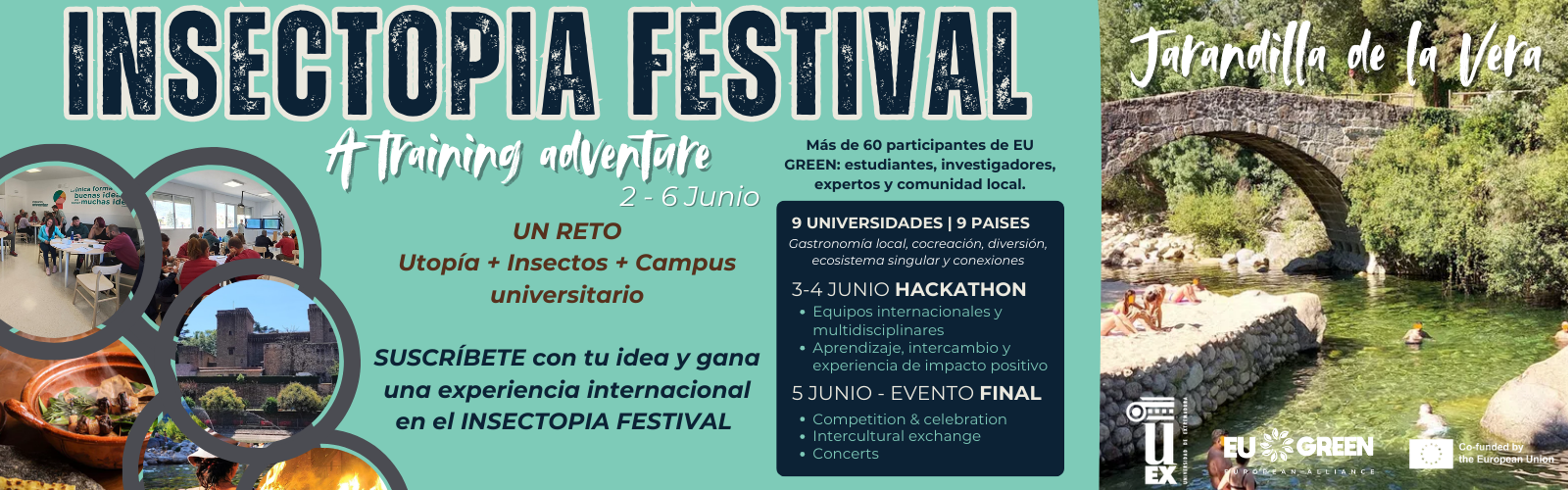 Insectopia Festival
