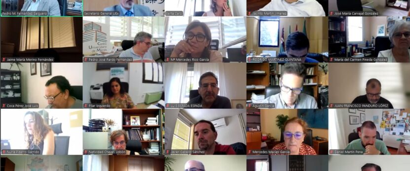 Consejo De Gobierno 23 De Julio celebrado de manera virtual