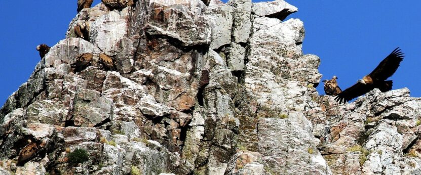 Vista del Parque Nacional de Monfragüe