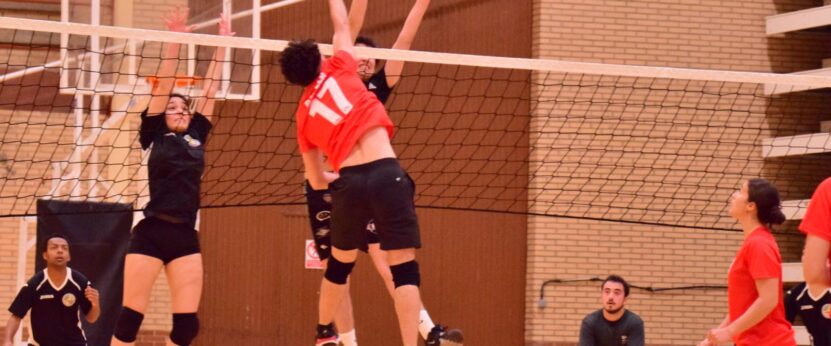 Final Voley de la competición Trofeo Rector del curso 2024/205