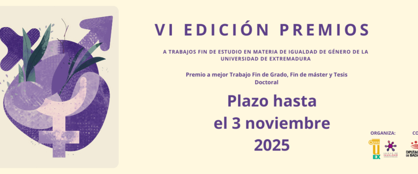 Imagen de la VI EDICIÓN Premios a Trabajo Fin de Estudios en materia de Igualdad de Género