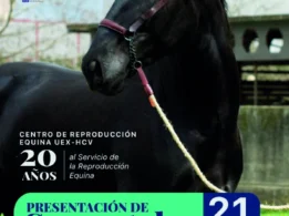 Cartel Presentación Sementales 2026