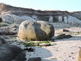Islote De Guidoiro Areoso Vista Del Escarpe Dunar Con Diferentes Niveles De Edafización Y Aparición De Las Formas Graníticas, Una Vez Erosionada La Duna