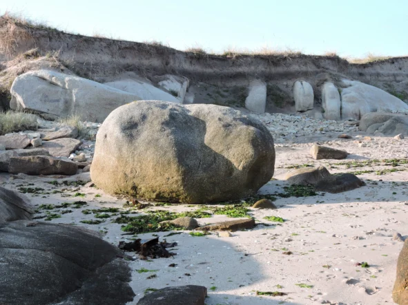 Islote De Guidoiro Areoso Vista Del Escarpe Dunar Con Diferentes Niveles De Edafización Y Aparición De Las Formas Graníticas, Una Vez Erosionada La Duna